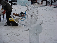 052 Plymouth Ice Show [2008 Jan 26]